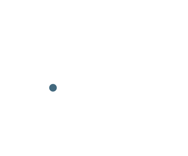 Riedl&Co