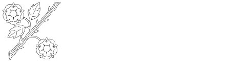 headerLogo